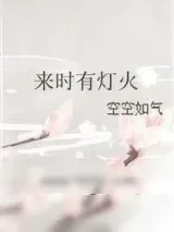 《来时有灯火》小说封面