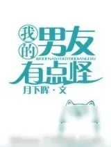 《我的男友有点怪》小说封面