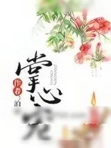《掌心宠》小说封面