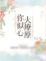 《你似心火燎原》小说封面