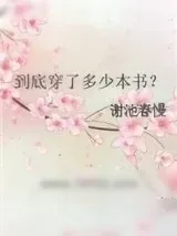 《到底穿了多少本书？》小说封面