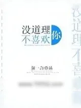 《没道理不喜欢你》小说封面
