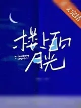 《楼上的月光》小说封面