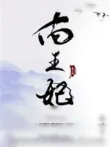 《南王妃》小说封面