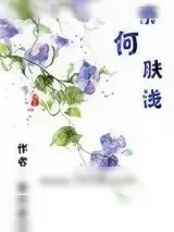 《奈何肤浅》小说封面