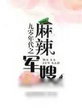 《九零年代之麻辣军嫂》小说封面