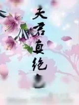 《夫君真绝色》小说封面