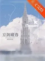 《京阁藏春》小说封面