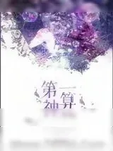 《第一神算（重生）》小说封面