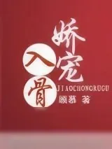 《娇宠入骨》小说封面