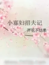 《小寡妇招夫记》小说封面