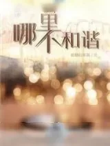 《哪里不和谐》小说封面