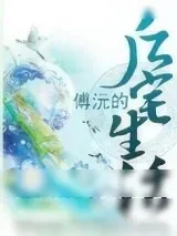 《傅沅的后宅生活》小说封面