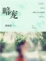 《暗宠》小说封面