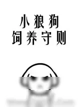 《小狼狗饲养守则》小说封面