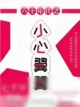 《八十年代之小心翼翼》小说封面