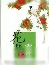 《花照云雁归（重生）》小说封面