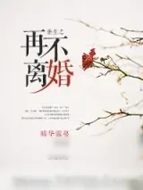 《重生之再不离婚》小说封面