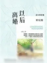 《娱乐圈之离婚以后》小说封面