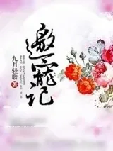 《邀宠记》小说封面