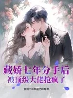 《藏娇七年分手后，被顶级大佬抢疯了》小说封面