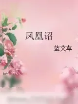 《凤凰诏》小说封面