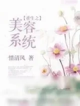 《重生之美容系统》小说封面