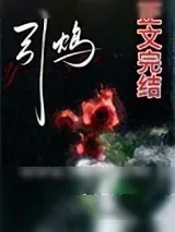 《引鸩（zhèn）》小说封面