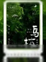 《乌梅》小说封面