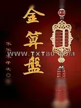 《金算盘》小说封面
