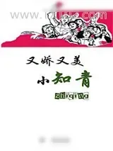 《又娇又美小知青》小说封面