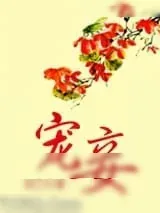 《宠妾》小说封面