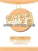 《师兄，别来无恙》小说封面
