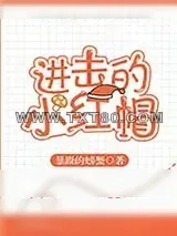 《进击的小红帽》小说封面