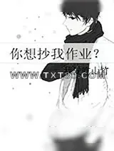 《你想抄我作业？》小说封面