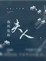 《我的危险夫人》小说封面