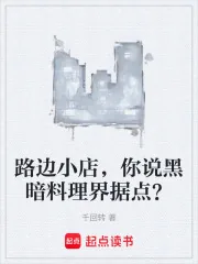 《路边小店，你说黑暗料理界据点？》小说封面