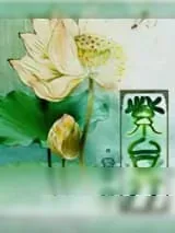 《紫台行（宫斗）》小说封面