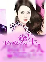《嗨，检察官夫人》小说封面