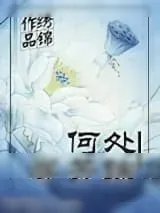 《何处寻芳踪》小说封面