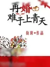 《再婚难于上青天》小说封面