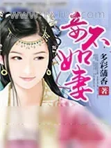 《妾不如妻》小说封面