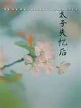 《丞相夫人失忆后》小说封面