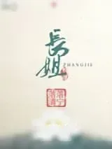 《长姐》小说封面