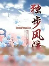 《独步风流》小说封面