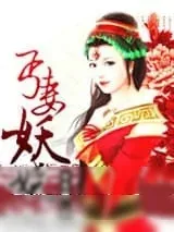 《丐妻妖娆》小说封面