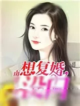《想复婚，没门》小说封面