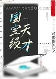 《国宝级天才》小说封面