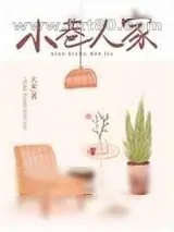 《小巷人家》小说封面