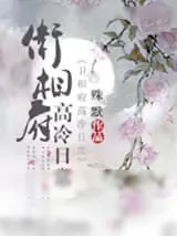 《卫相府高冷日常》小说封面